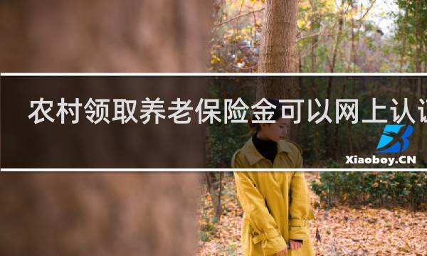农村领取养老保险金可以网上认证吗