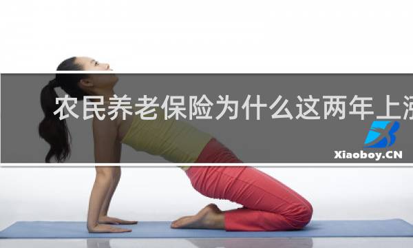 农民养老保险为什么这两年上涨
