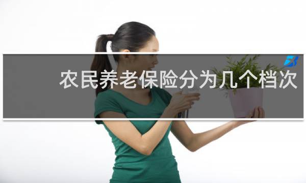 农民养老保险分为几个档次