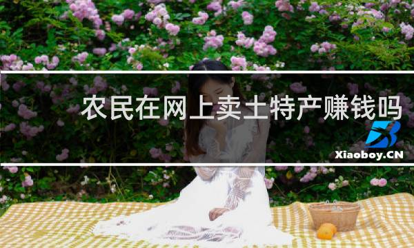 农民在网上卖土特产赚钱吗