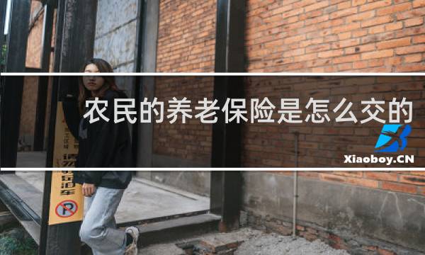 农民的养老保险是怎么交的