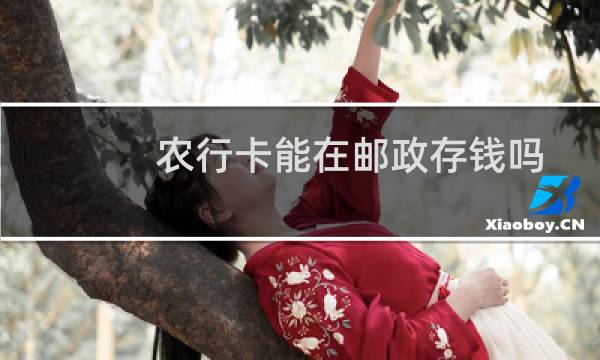 农行卡能在邮政存钱吗