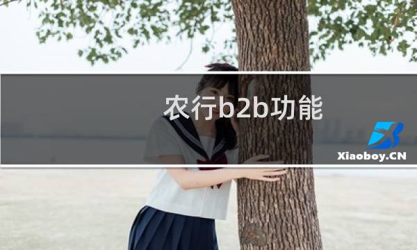 农行b2b功能