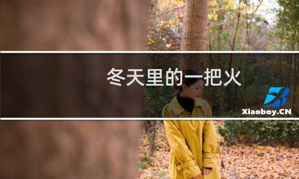 冬天里的一把火 攻略