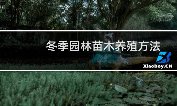 冬季园林苗木养殖方法