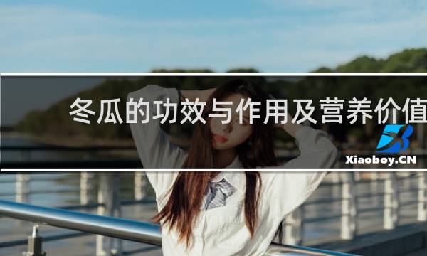 冬瓜的功效与作用及营养价值