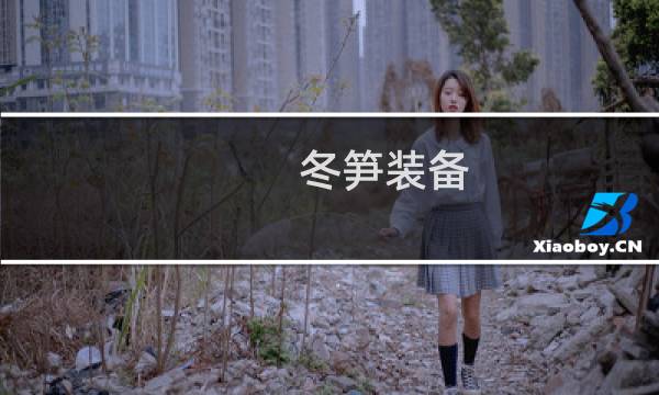 冬笋装备 剑网3