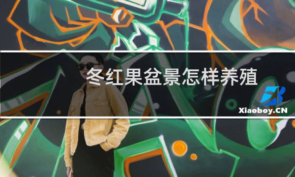 冬红果盆景怎样养殖