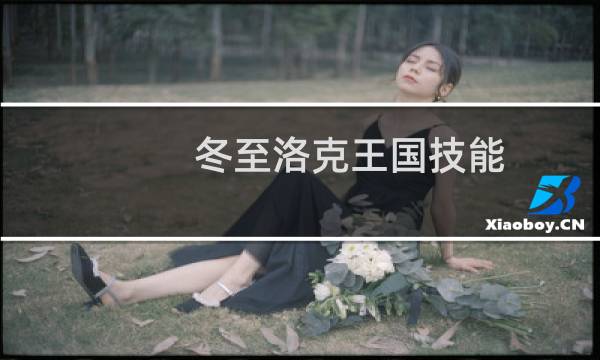 冬至洛克王国技能