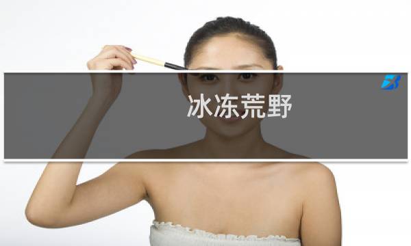 冰冻荒野 图文攻略
