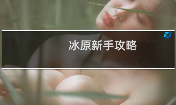 冰原新手攻略