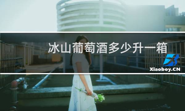 冰山葡萄酒多少升一箱
