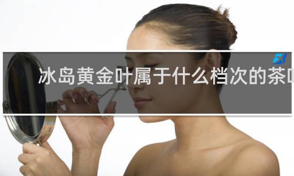 冰岛黄金叶属于什么档次的茶叶