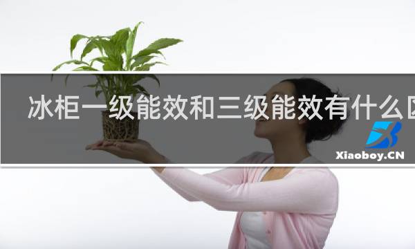 冰柜一级能效和三级能效有什么区别