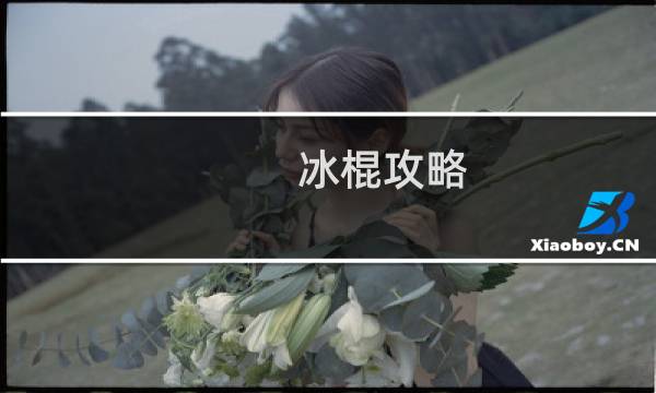 冰棍攻略