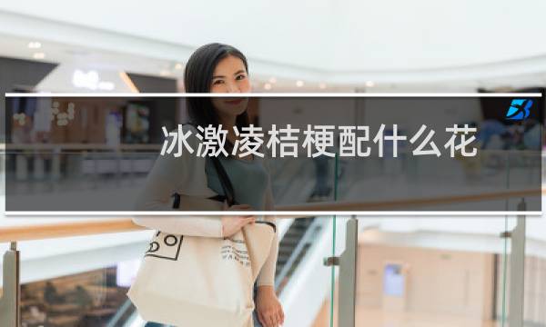 冰激凌桔梗配什么花