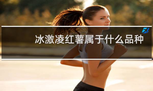 冰激凌红薯属于什么品种