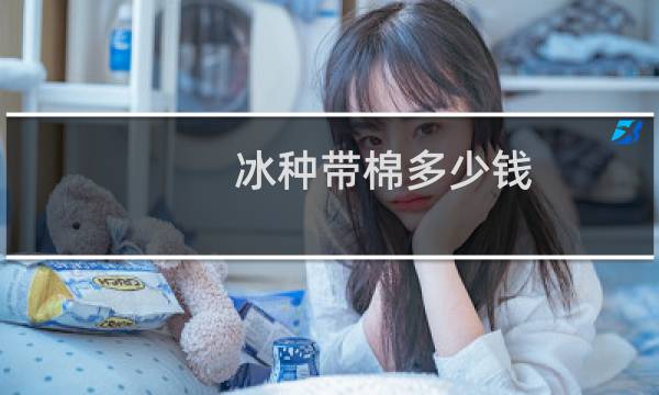 冰种带棉多少钱