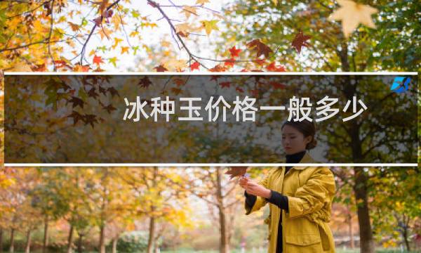 冰种玉价格一般多少