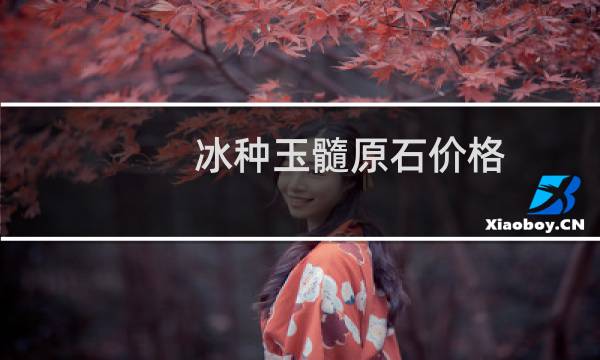 冰种玉髓原石价格
