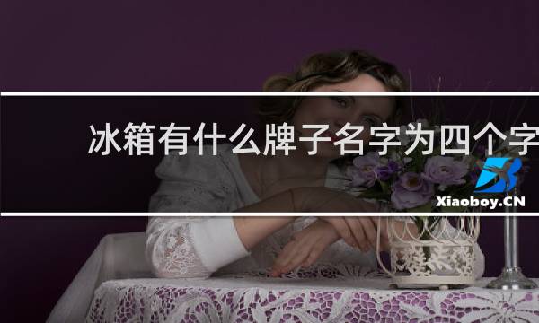 冰箱有什么牌子名字为四个字