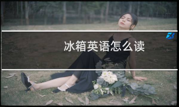 冰箱英语怎么读