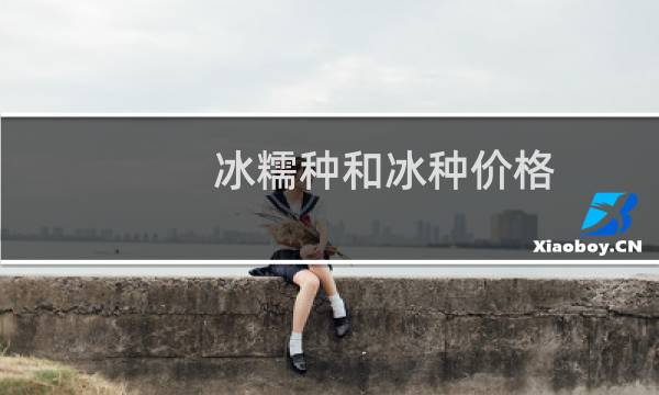 冰糯种和冰种价格