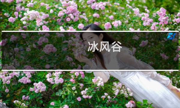 冰风谷 增强版 攻略