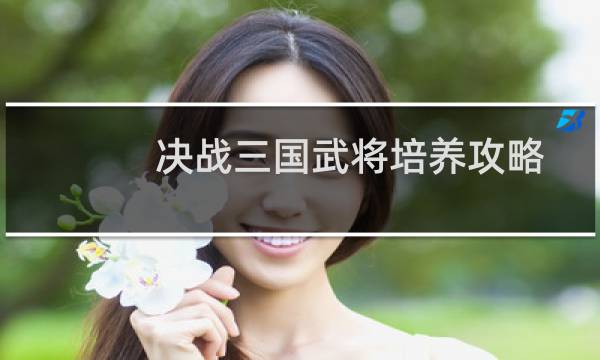 决战三国武将培养攻略