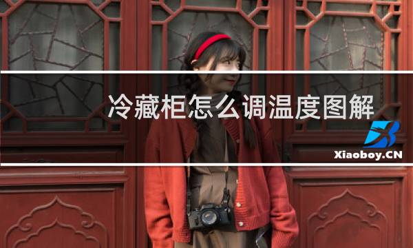 冷藏柜怎么调温度图解
