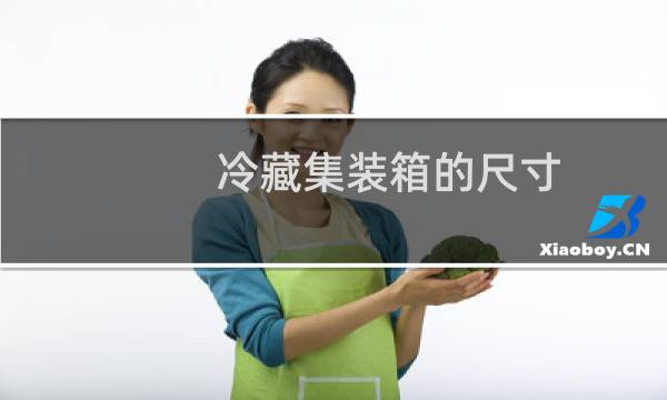 冷藏集装箱的尺寸