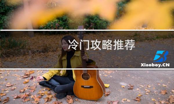 冷门攻略推荐