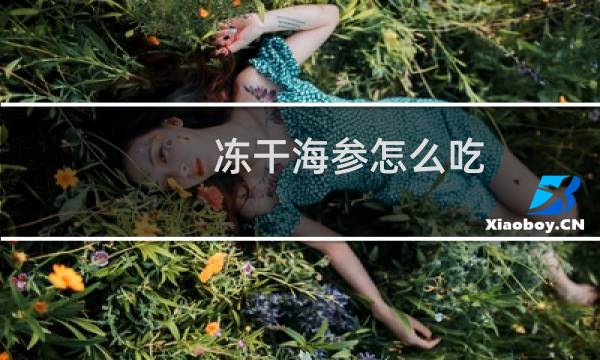 冻干海参怎么吃