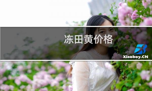 冻田黄价格