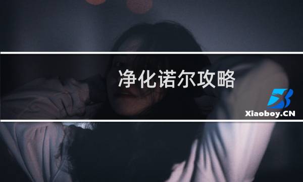 净化诺尔攻略