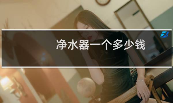 净水器一个多少钱