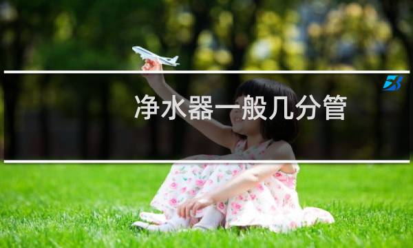 净水器一般几分管