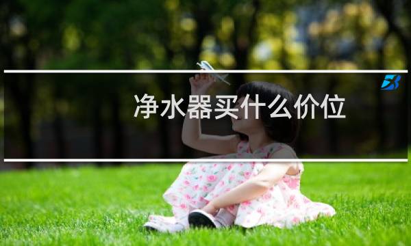 净水器买什么价位