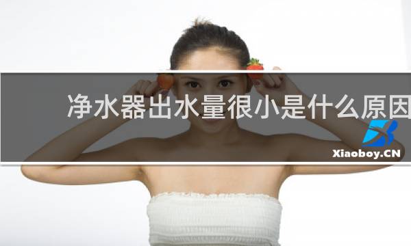 净水器出水量很小是什么原因