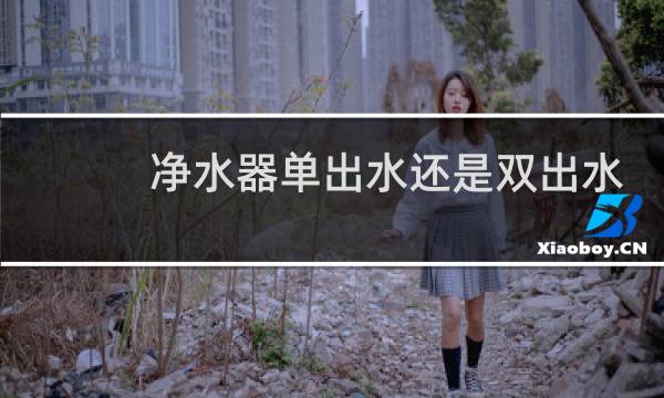 净水器单出水还是双出水