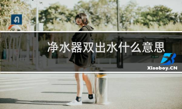 净水器双出水什么意思