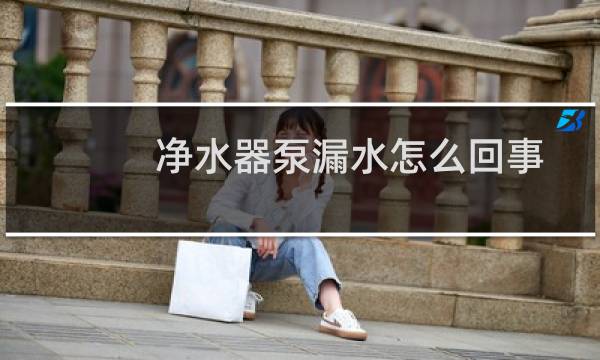 净水器泵漏水怎么回事