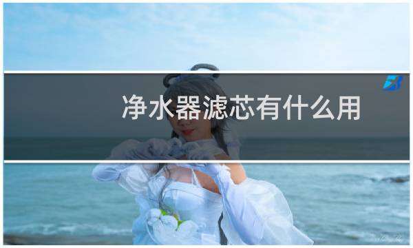净水器滤芯有什么用