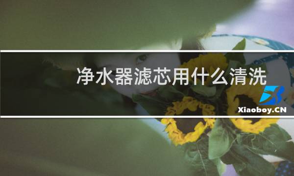 净水器滤芯用什么清洗