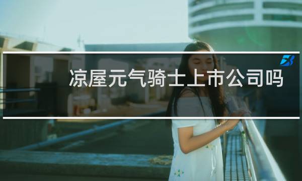 凉屋元气骑士上市公司吗