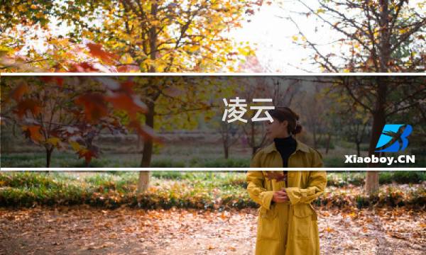 凌云 攻略