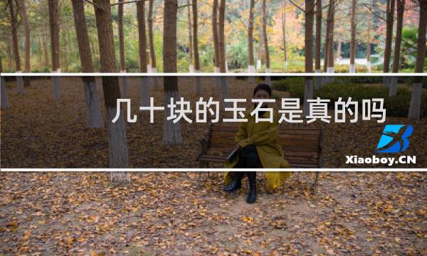 几十块的玉石是真的吗