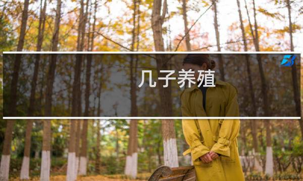 几子养殖