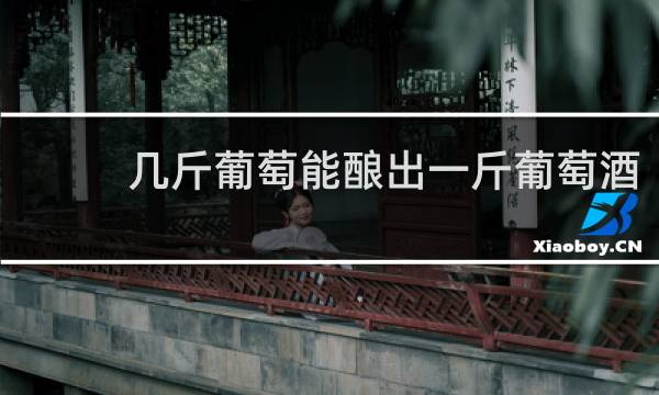 几斤葡萄能酿出一斤葡萄酒