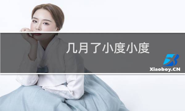 几月了小度小度